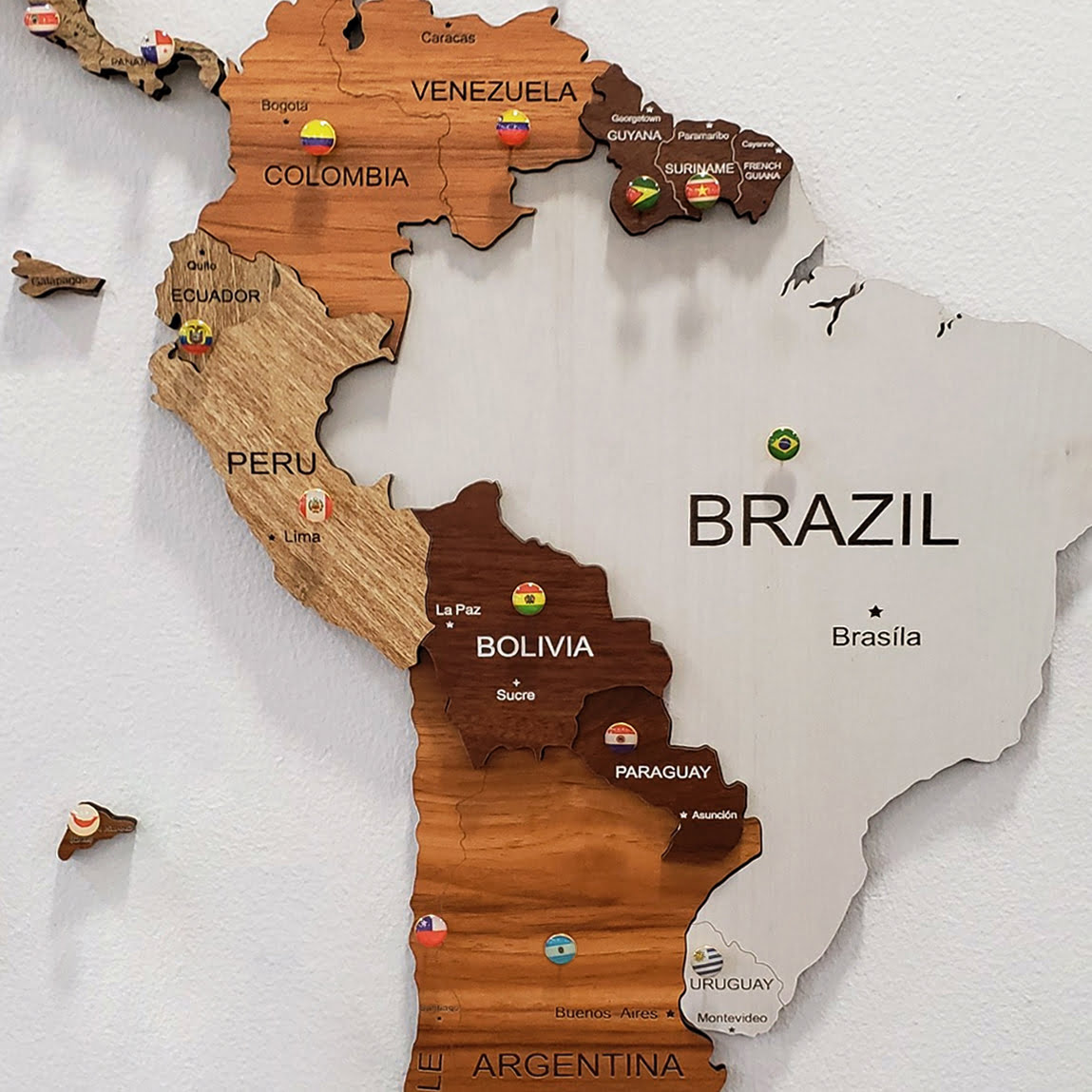 Ban-do-go-3d-wooden-world-map-cookie-review-197.